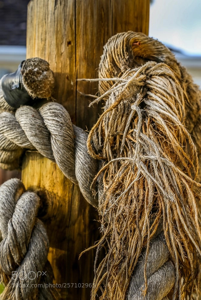Canon EOS 6D sample photo. The unraveling! photography