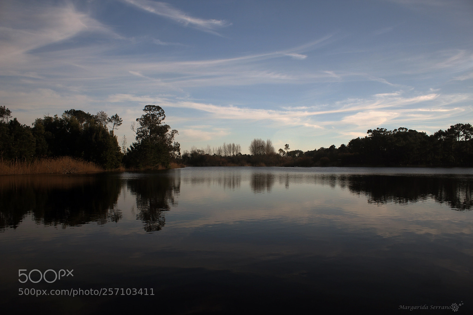 Canon EOS 550D (EOS Rebel T2i / EOS Kiss X4) sample photo. Serenity... photography