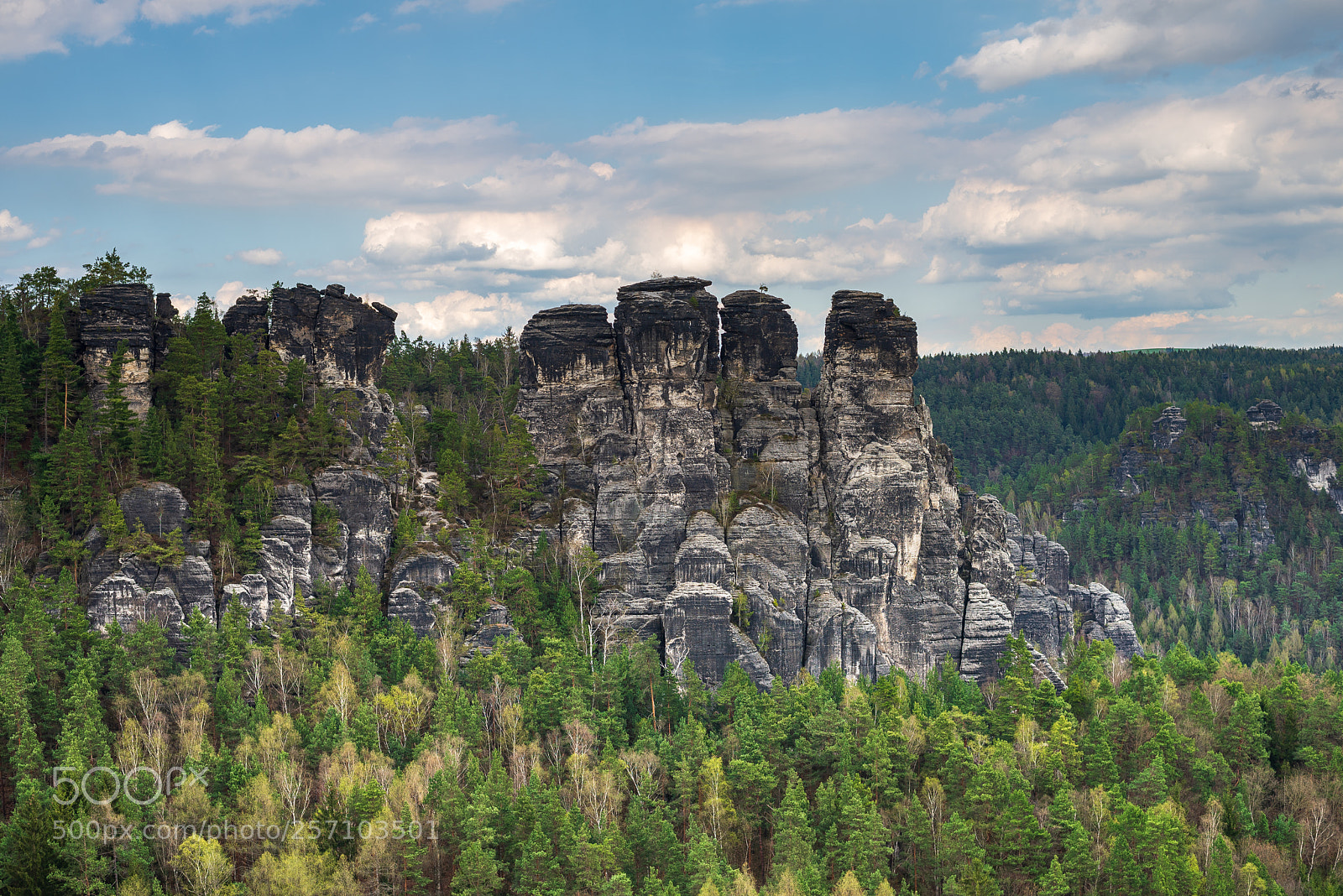Nikon D610 sample photo. Saxon switzerland national park photography