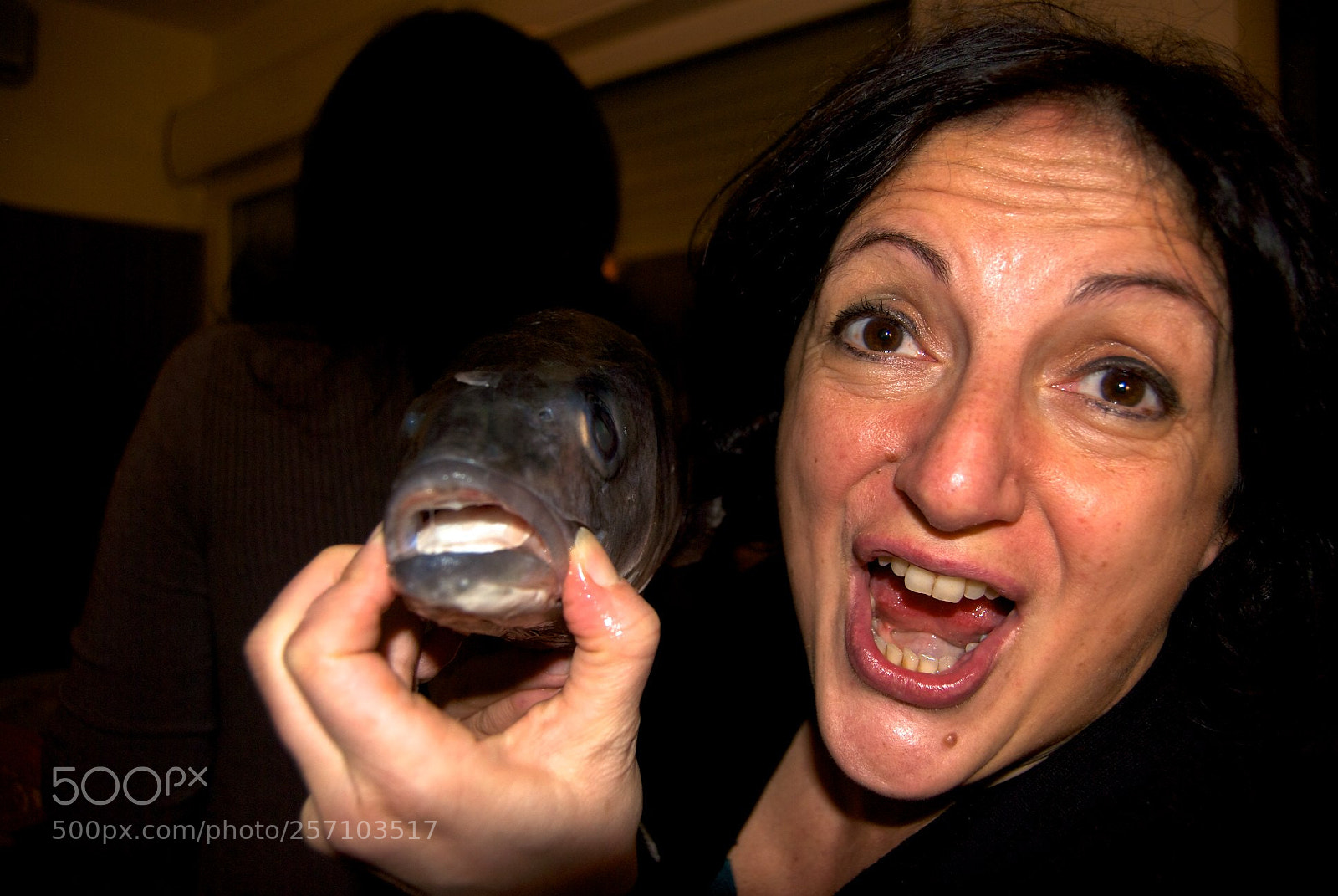 Nikon D60 sample photo. Version photography
