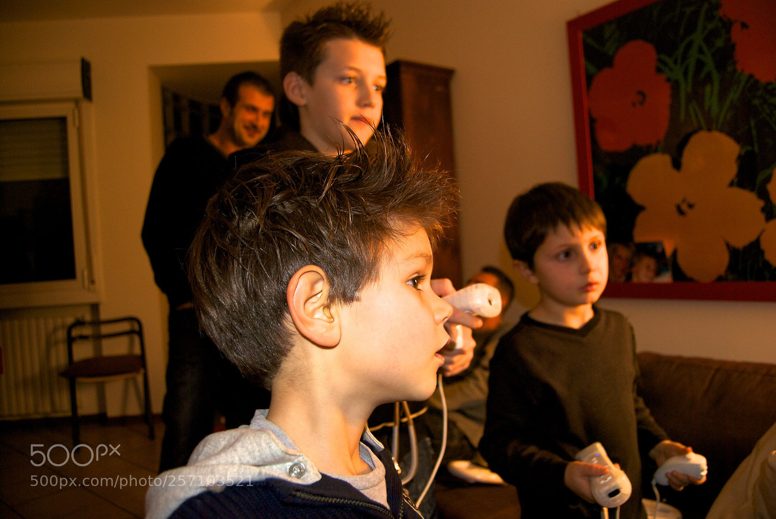 Nikon D60 sample photo. Version photography