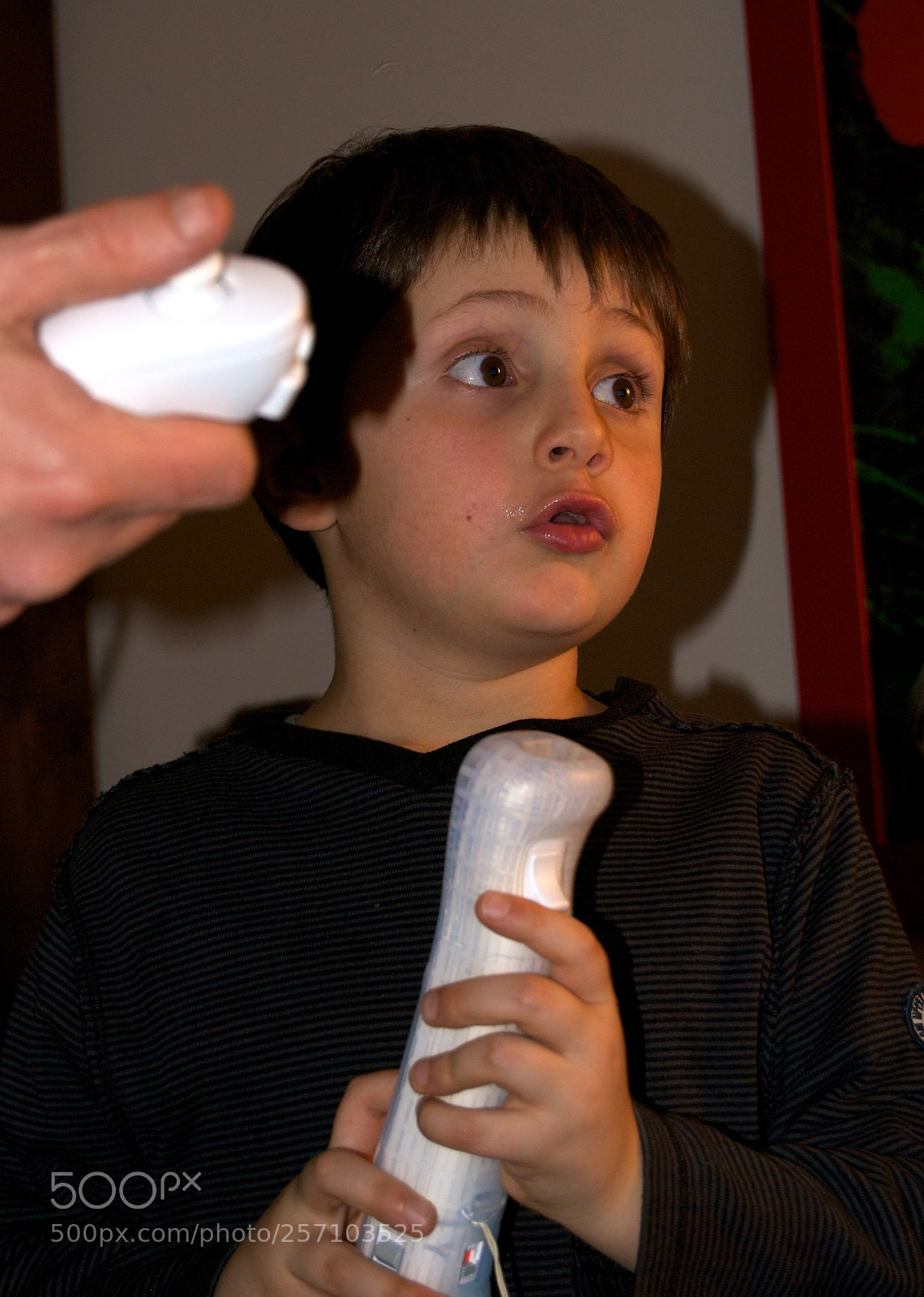 Nikon D60 sample photo. Version photography
