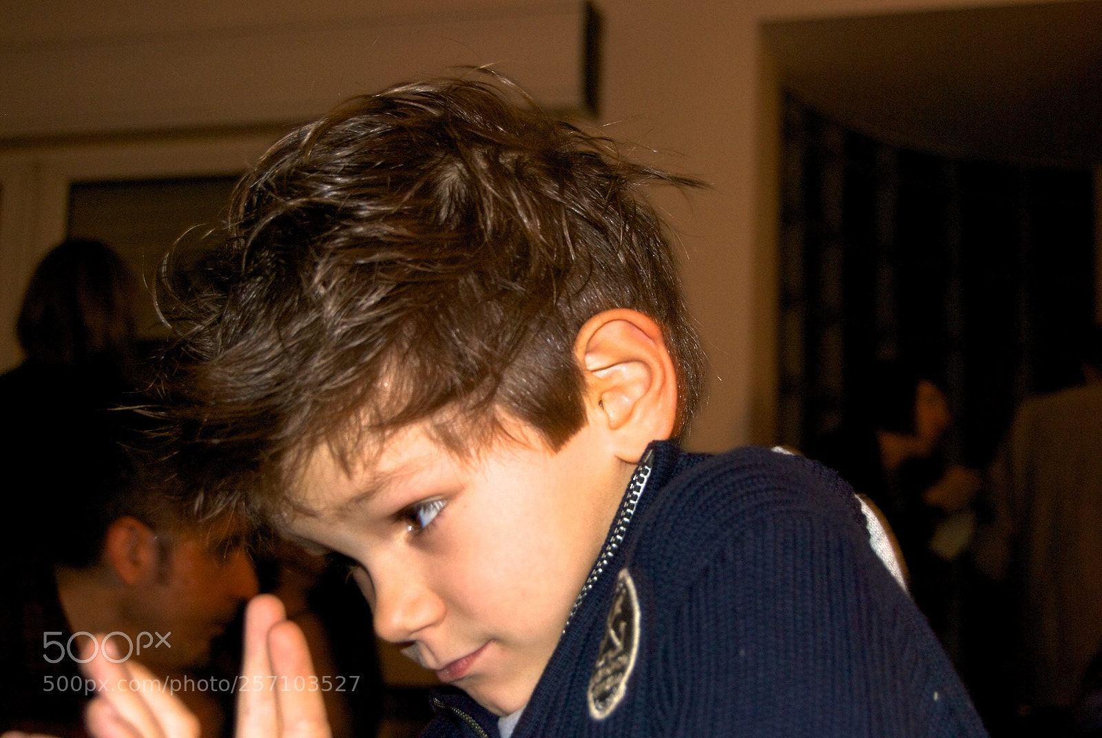Nikon D60 sample photo. Version photography