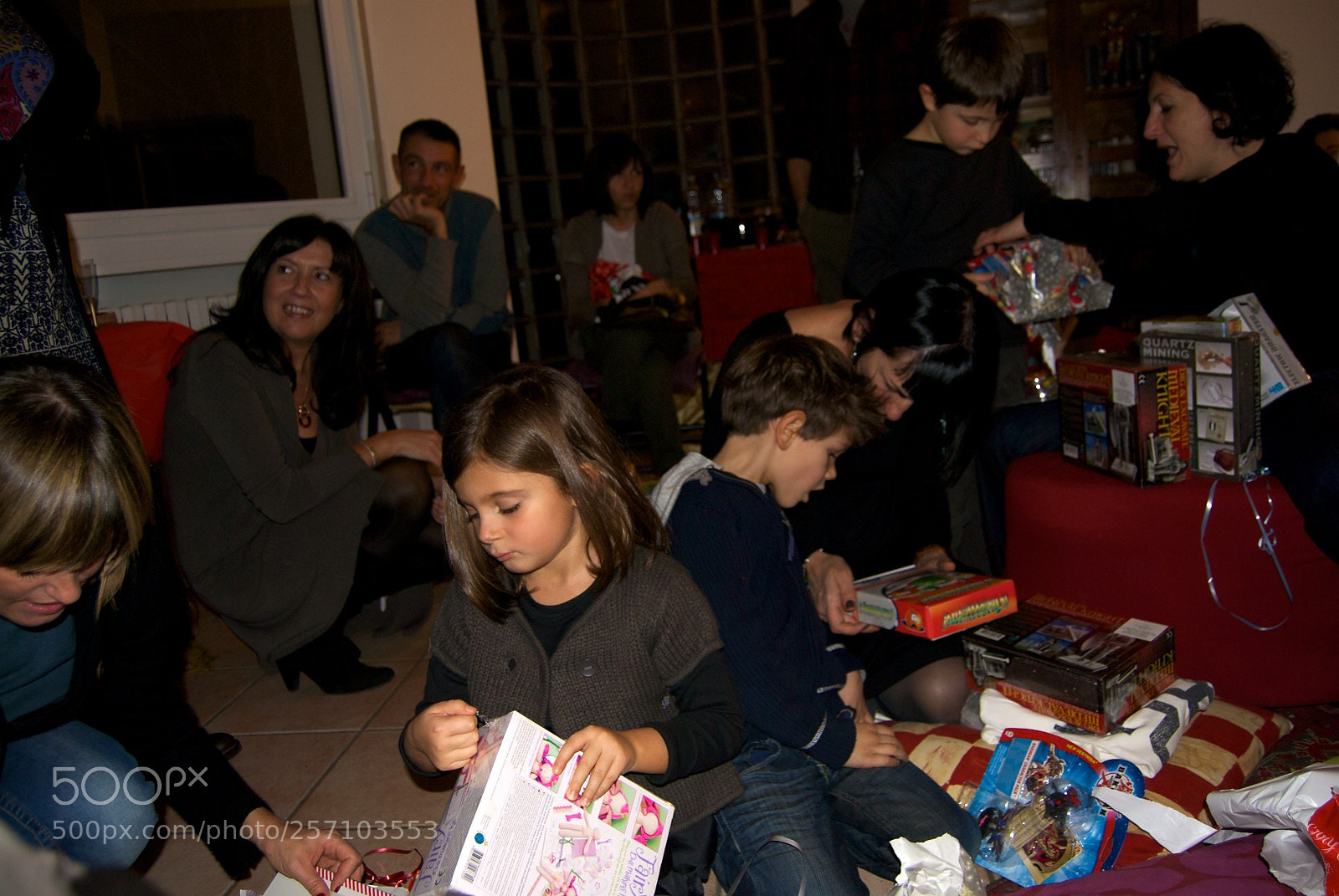 Nikon D60 sample photo. Version photography
