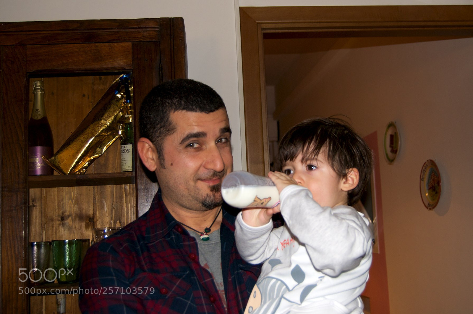 Nikon D60 sample photo. Version photography