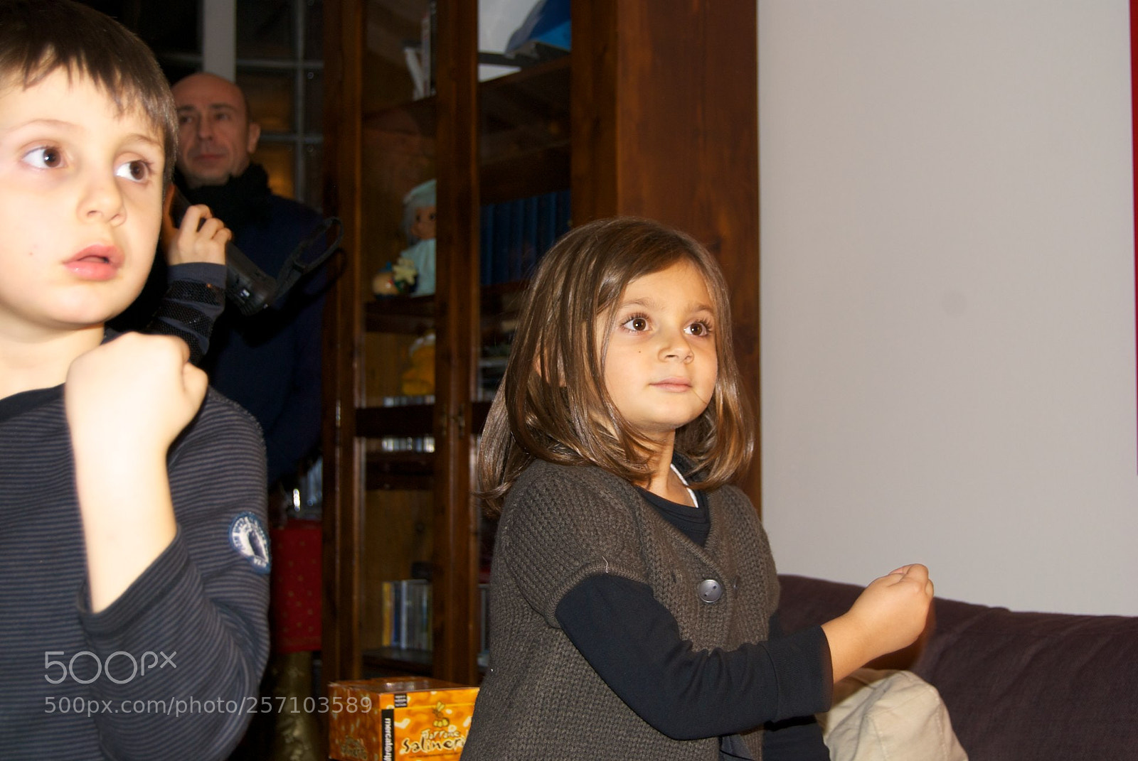 Nikon D60 sample photo. Version photography