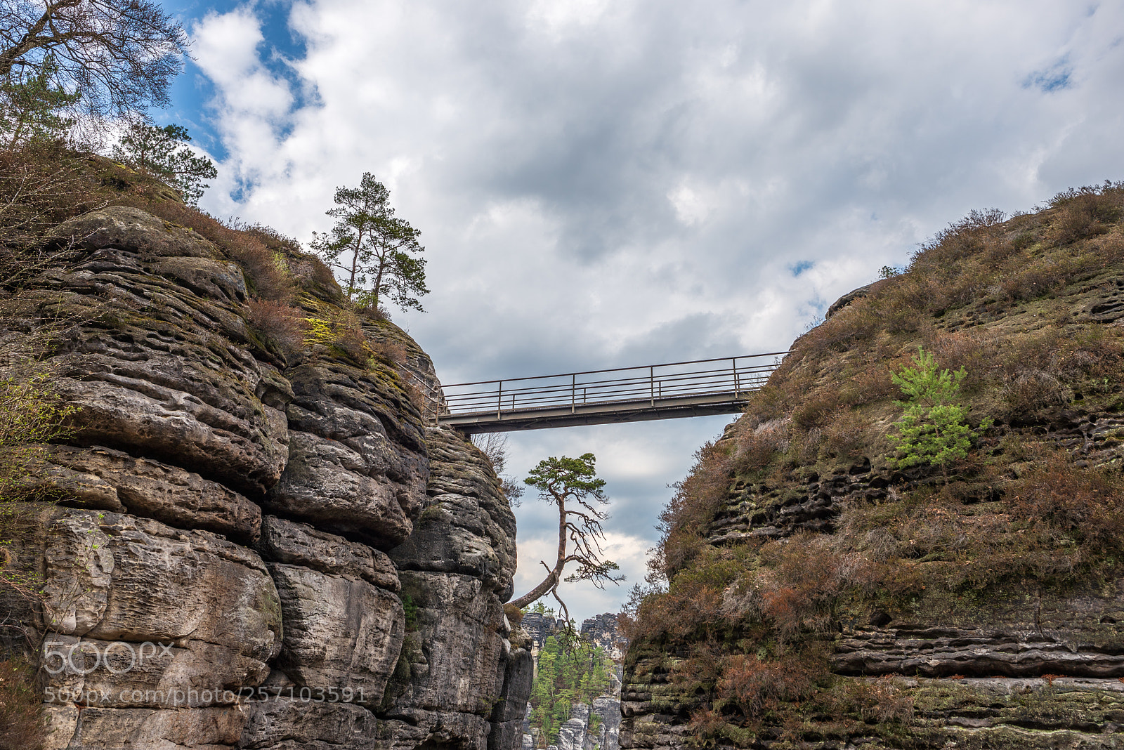 Nikon D610 sample photo. Saxon switzerland national park photography