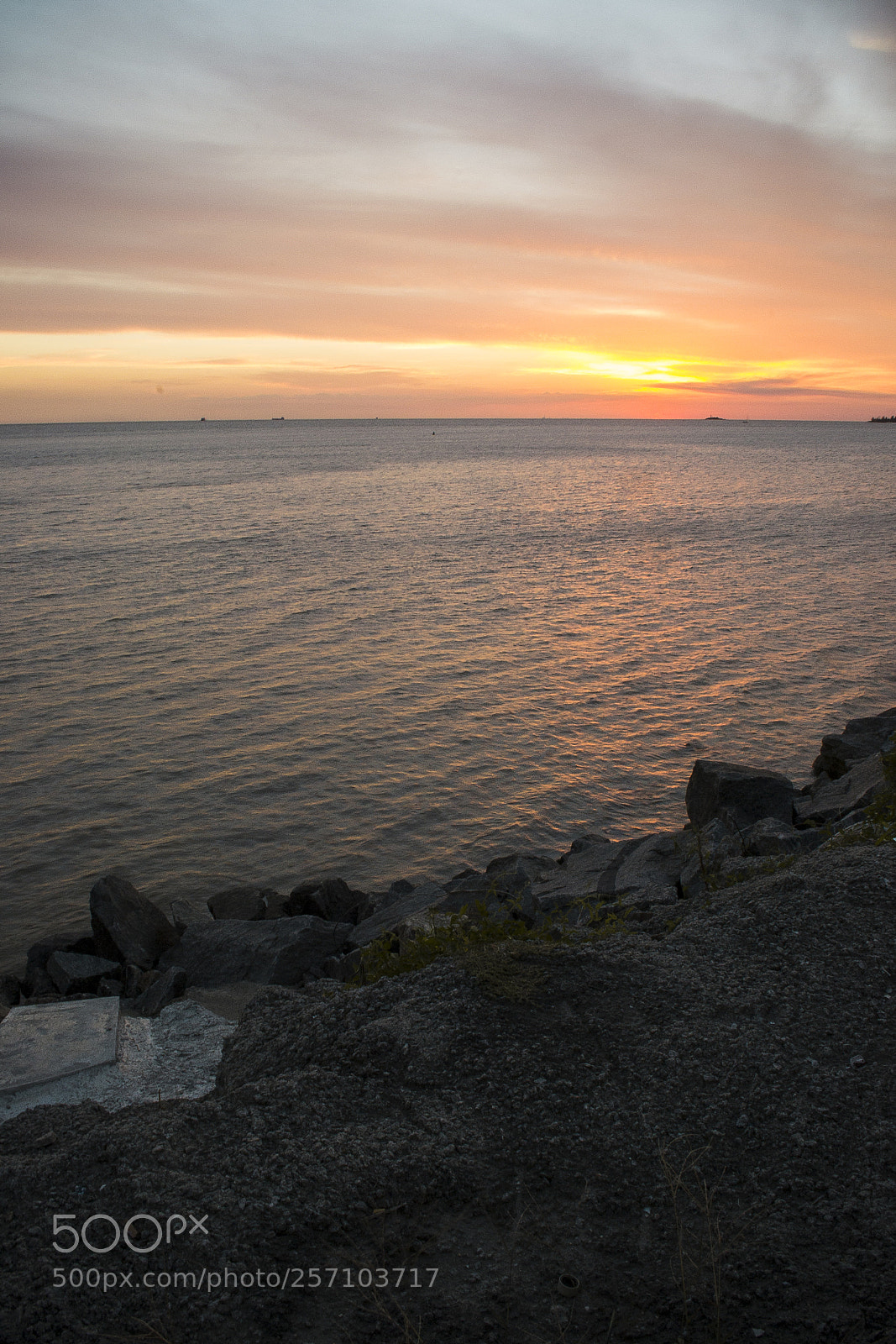 Nikon D3100 sample photo. Atardecer en colonia. photography