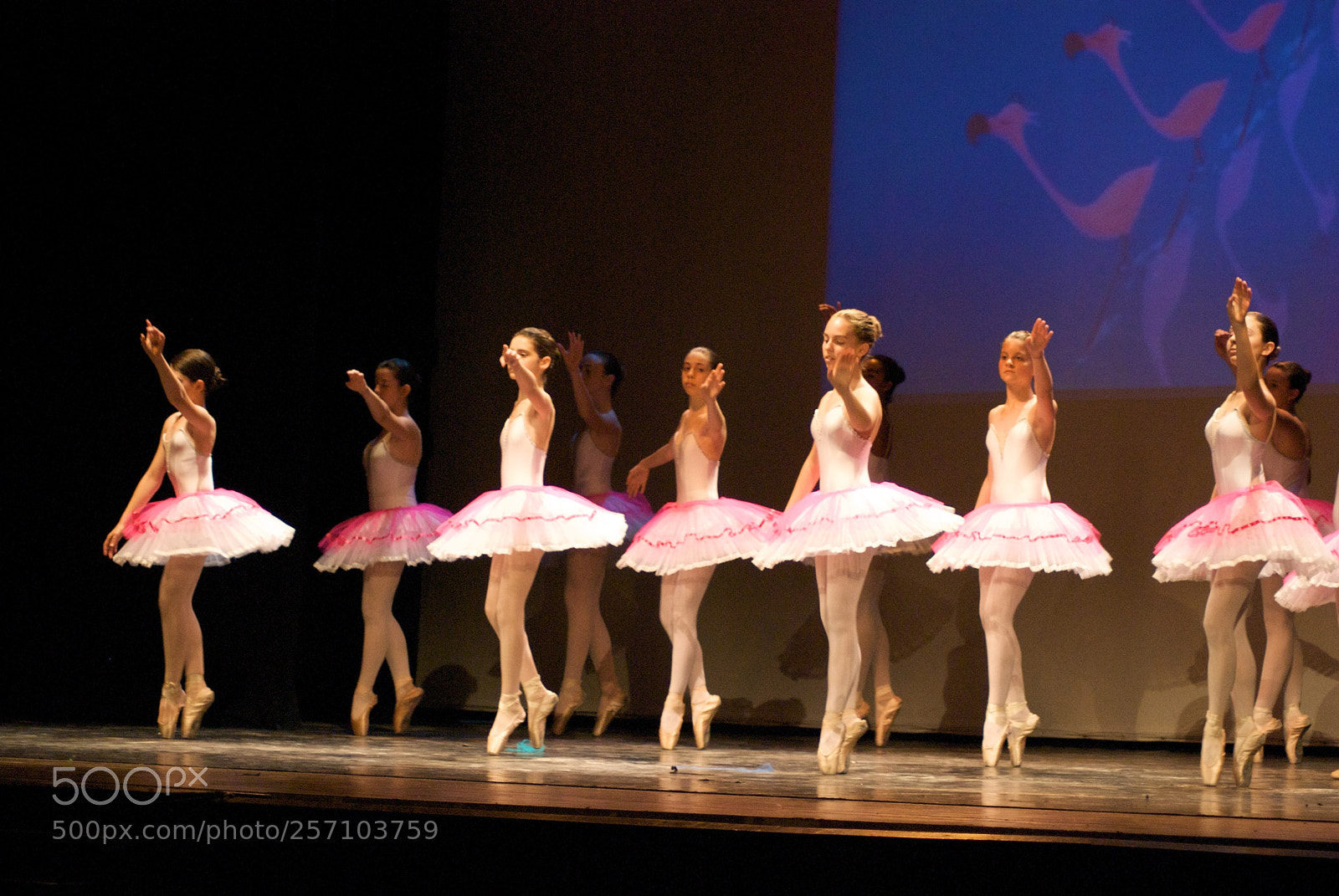 Nikon D60 sample photo. Version photography
