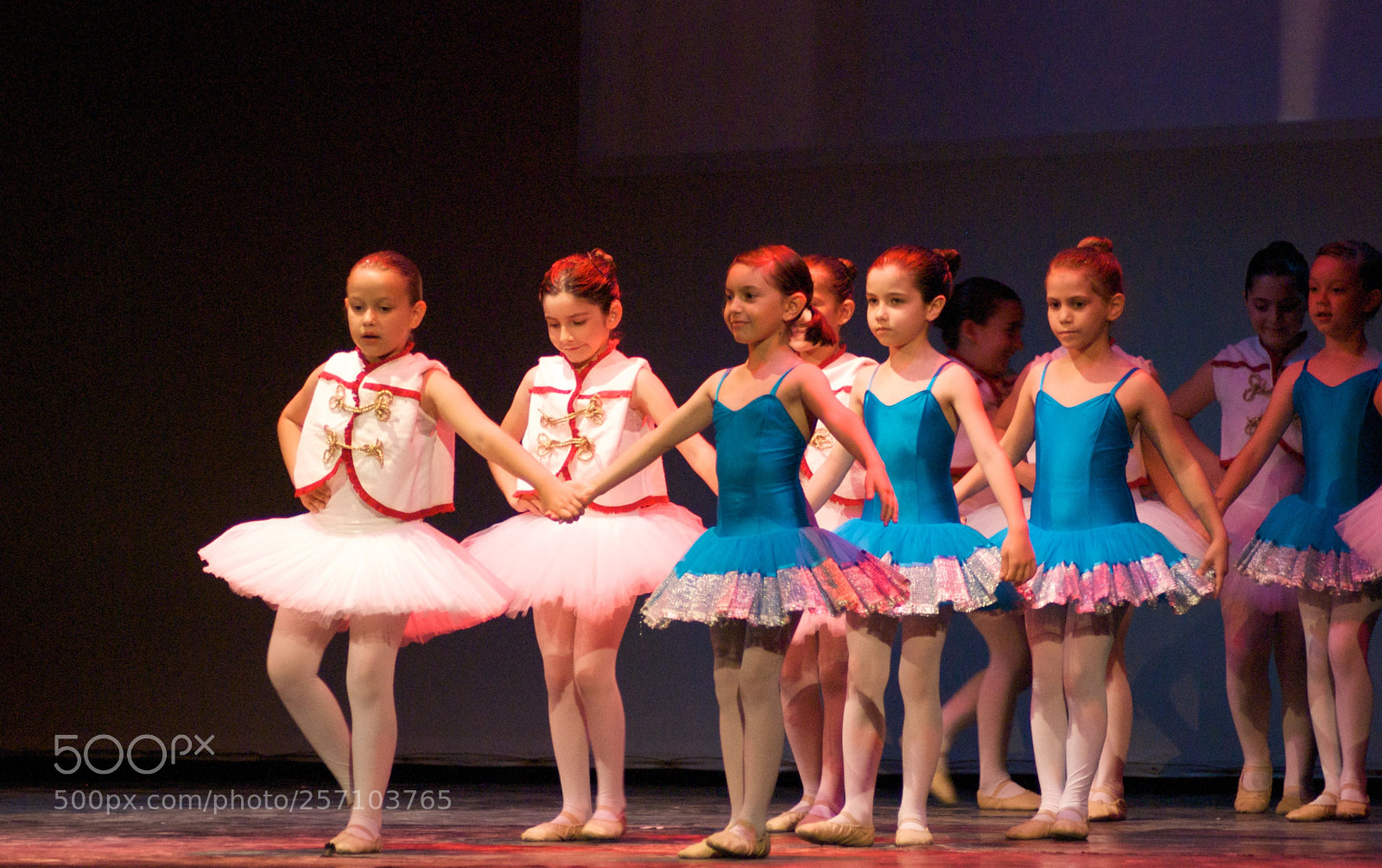 Nikon D60 sample photo. Version photography