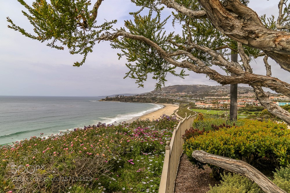 Canon EOS 6D sample photo. Ritz cove! photography