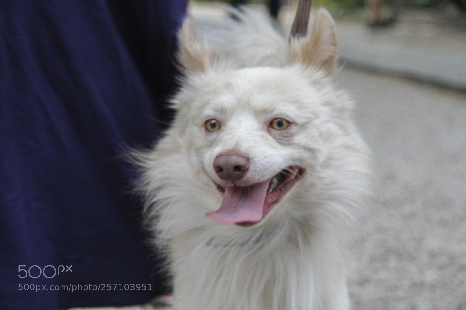 Canon EOS 7D sample photo. Untitled photography