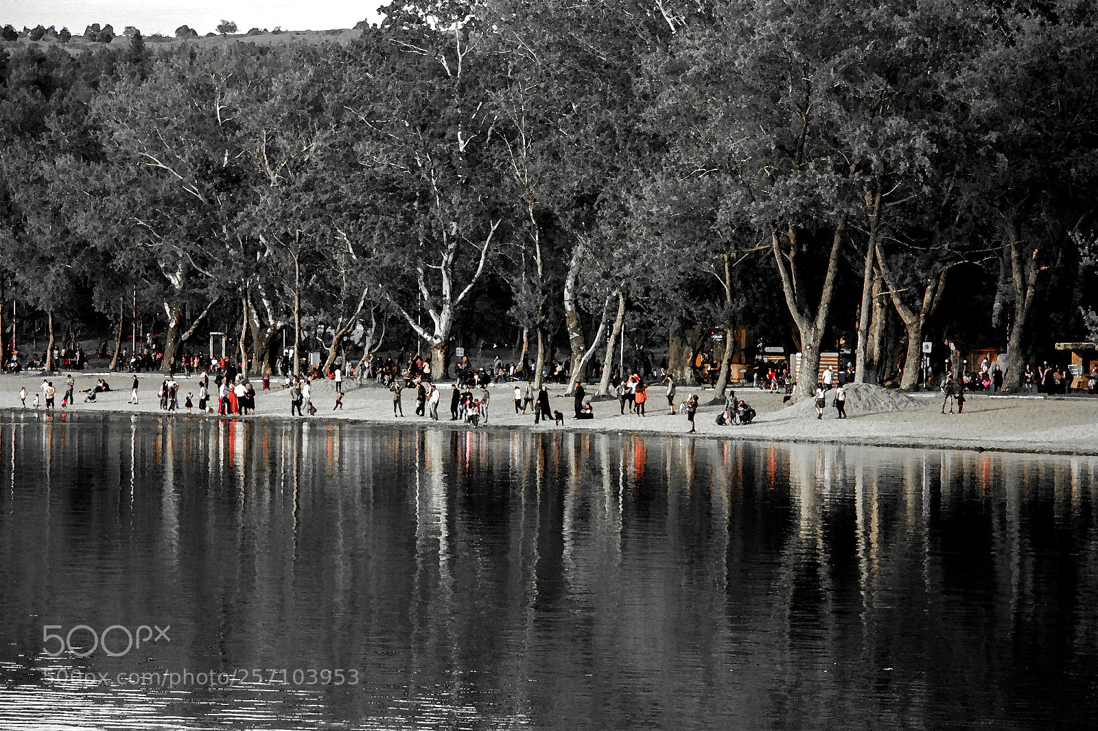 Canon EOS 7D sample photo. Untitled photography