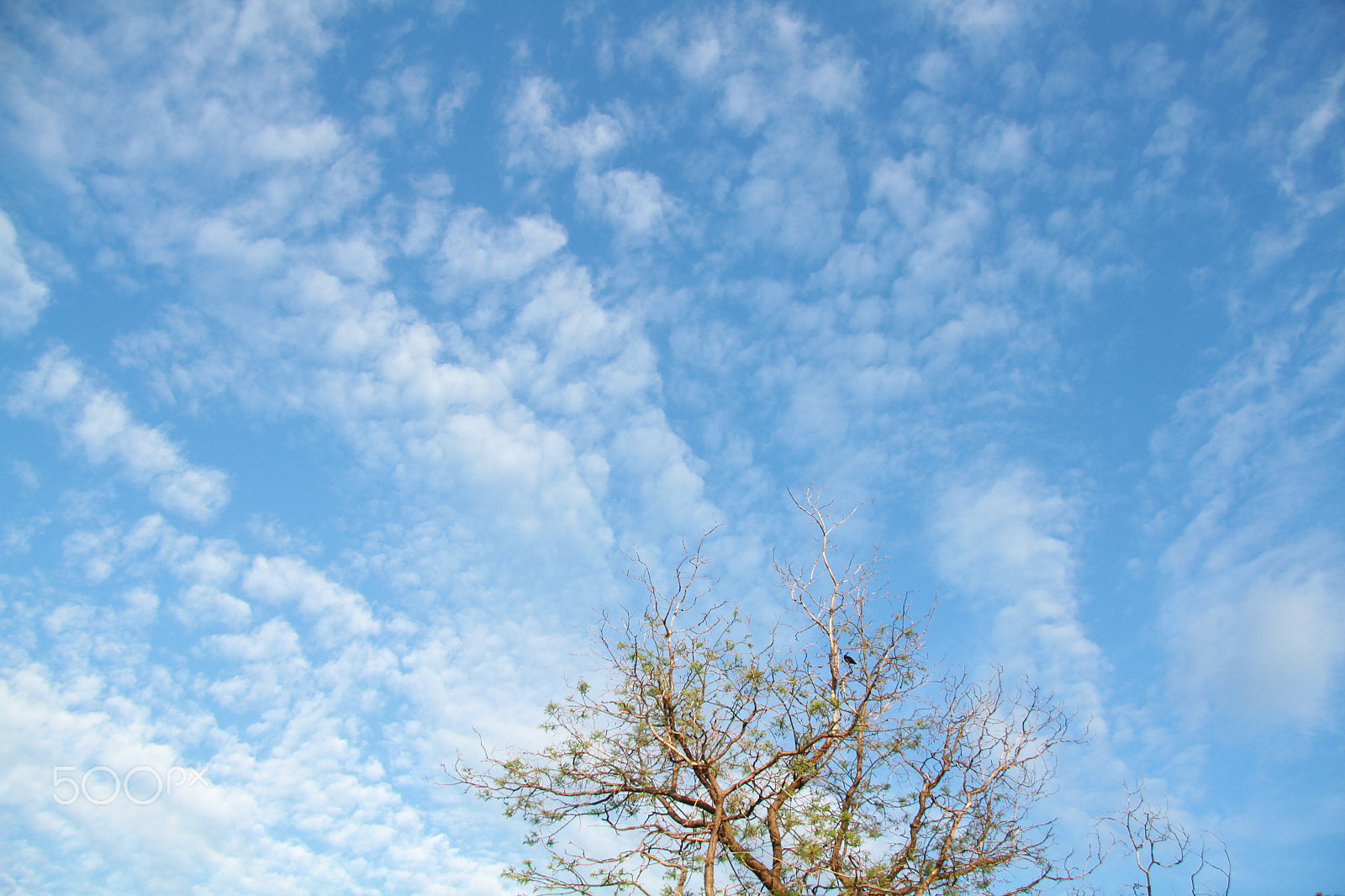 Canon EF-S 17-85mm F4-5.6 IS USM sample photo
