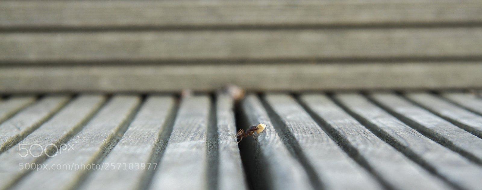 Canon EOS 7D sample photo. Untitled photography