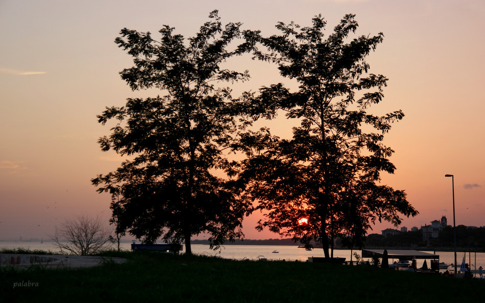 Samsung NX1 sample photo. ... photography
