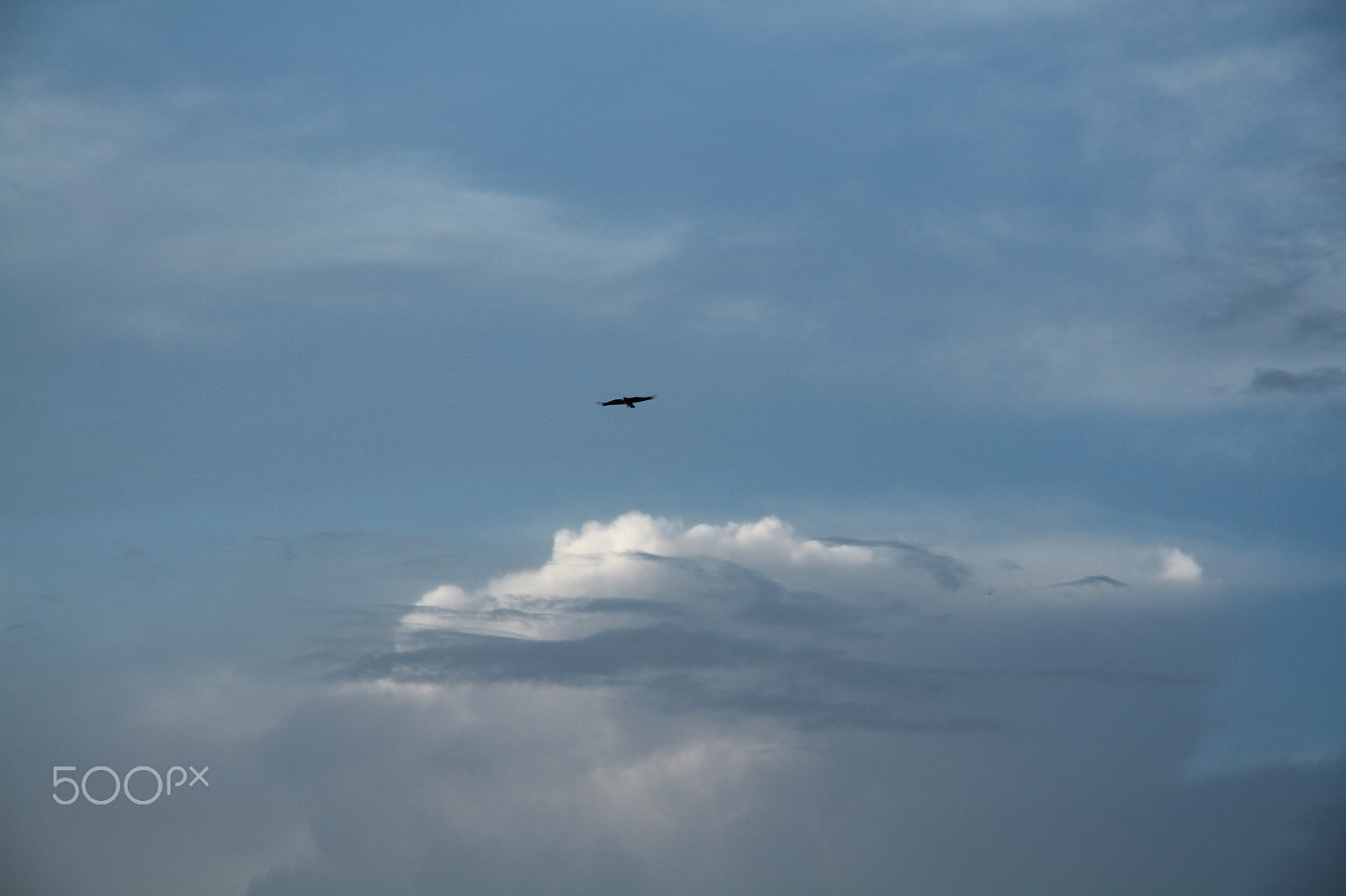 Canon EF-S 17-85mm F4-5.6 IS USM sample photo