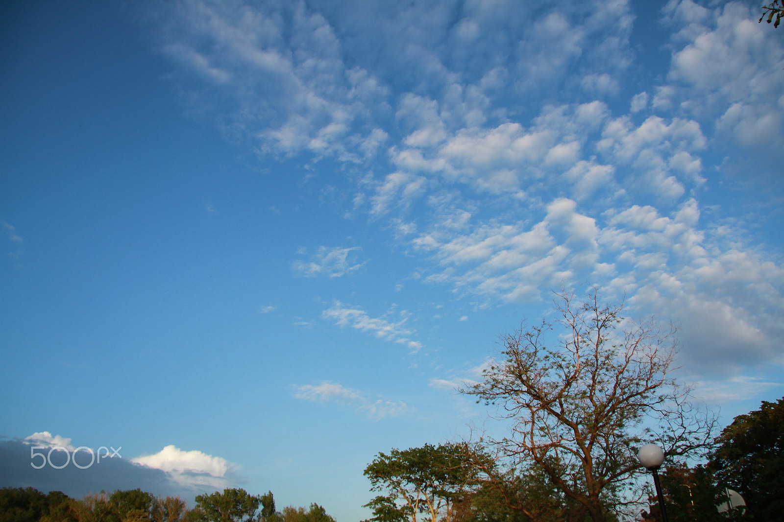 Canon EF-S 17-85mm F4-5.6 IS USM sample photo