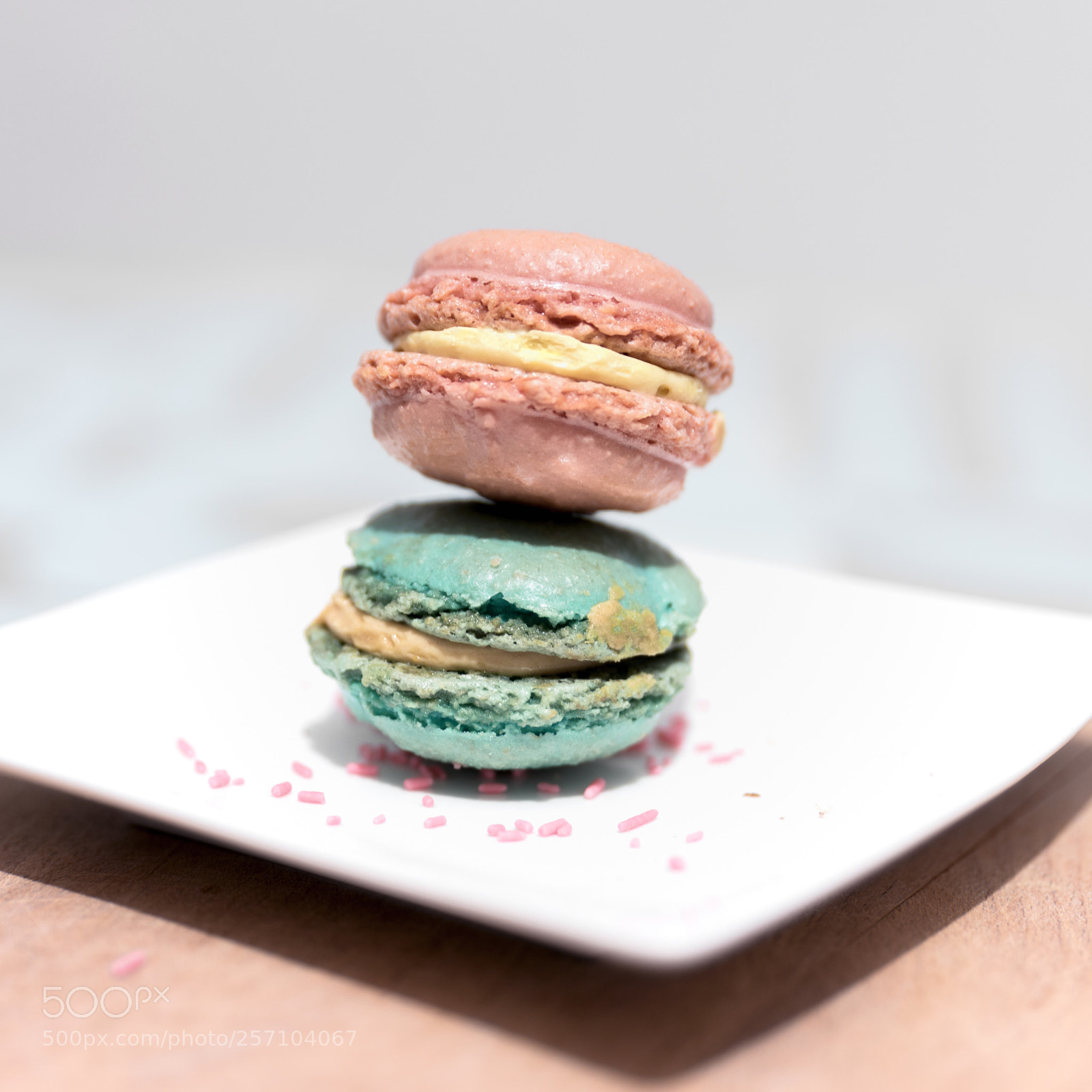 Nikon D750 sample photo. Macaron photography