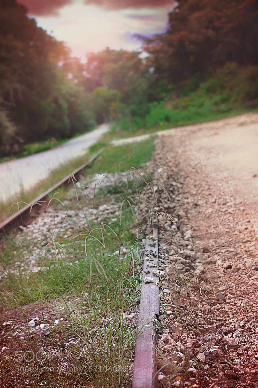 Canon EOS 7D sample photo. Abandoned tracks.jpg photography