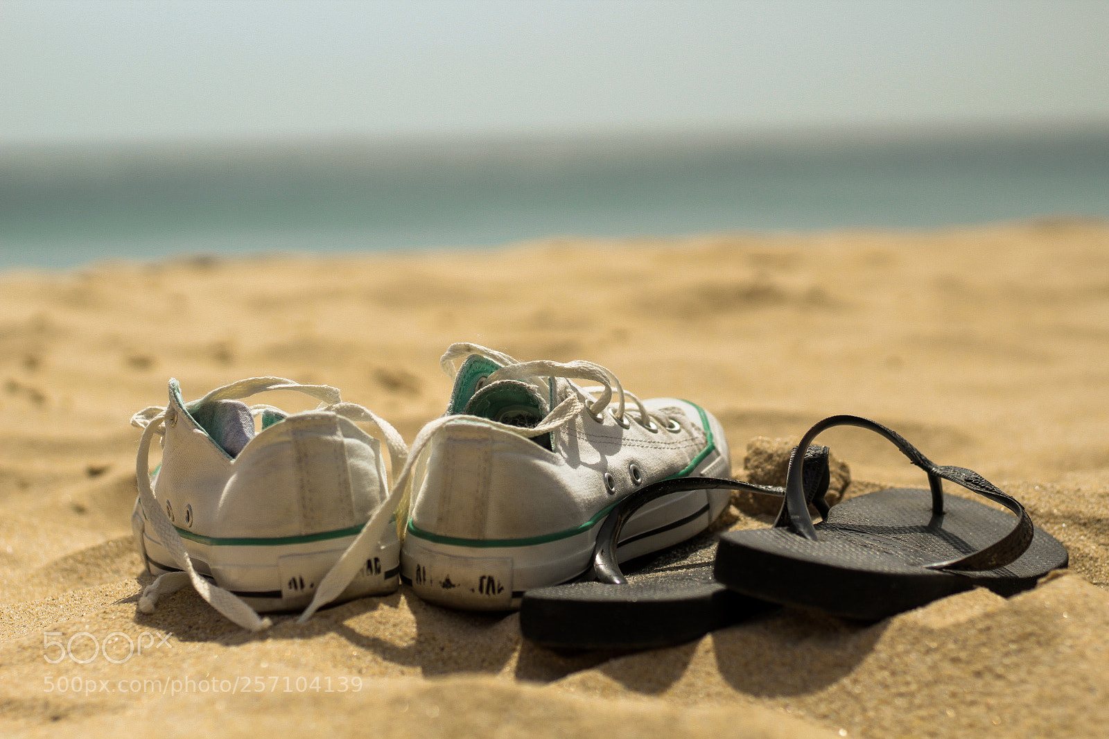 Canon EOS 1200D (EOS Rebel T5 / EOS Kiss X70 / EOS Hi) sample photo. Summer vibes photography