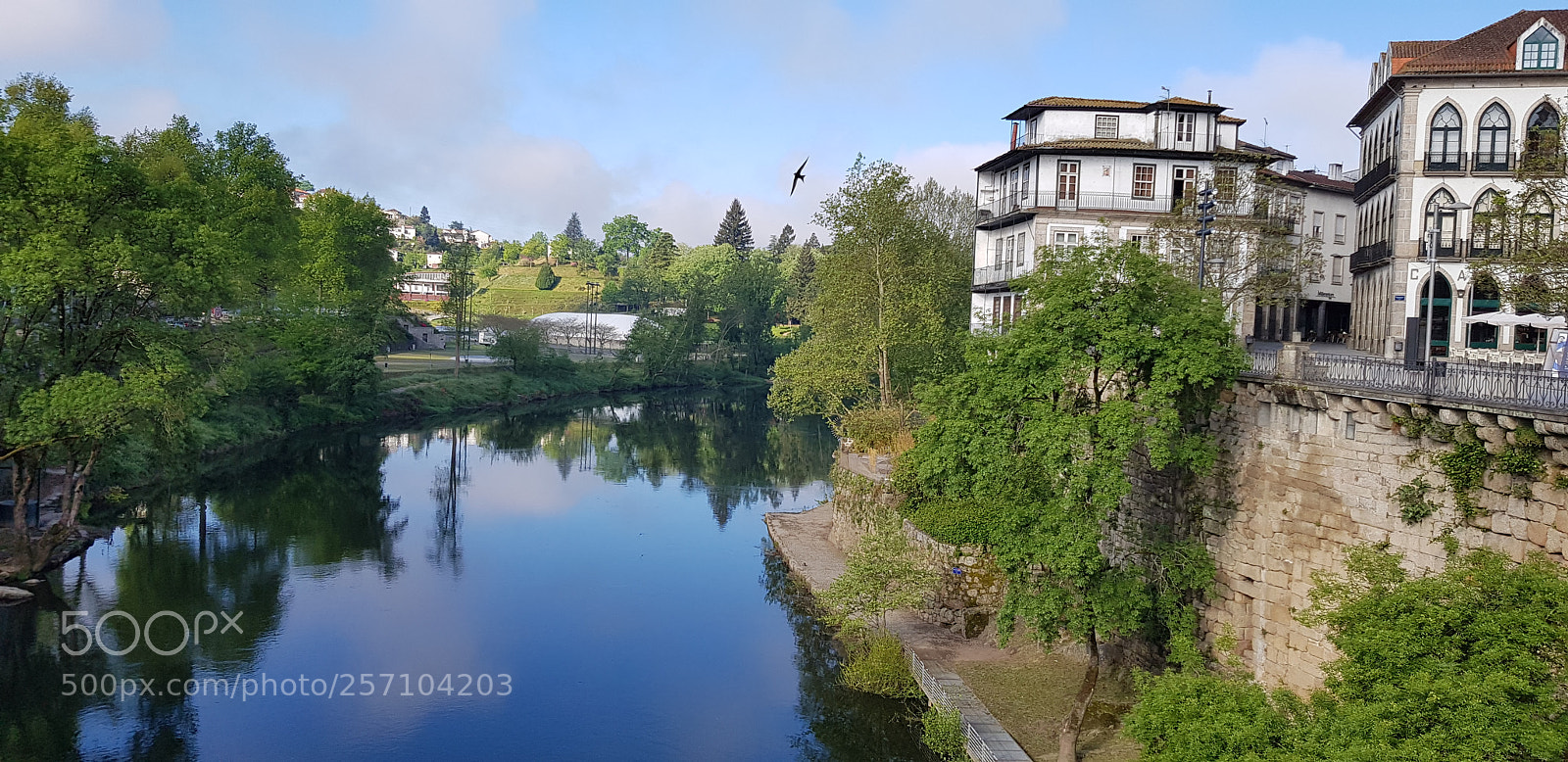 Samsung Galaxy S8 sample photo. Suddenly photography