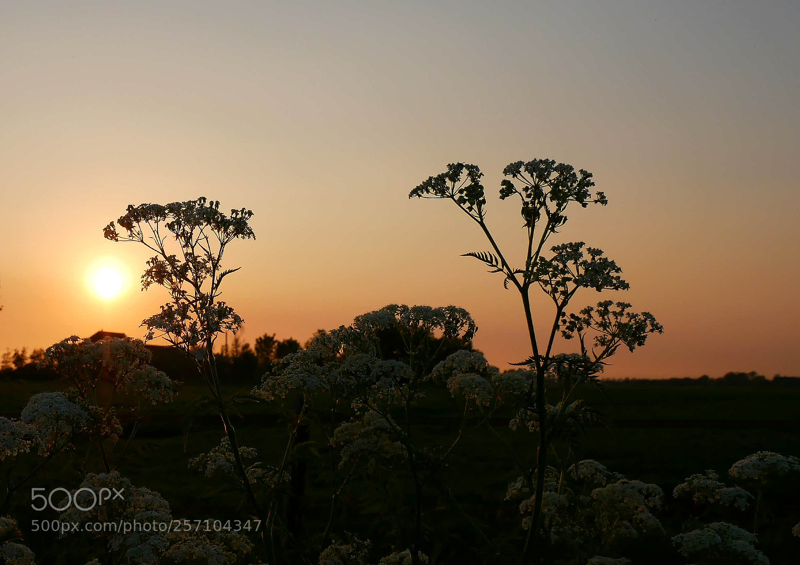 Panasonic Lumix DMC-G85 (Lumix DMC-G80) sample photo. Sunset photography
