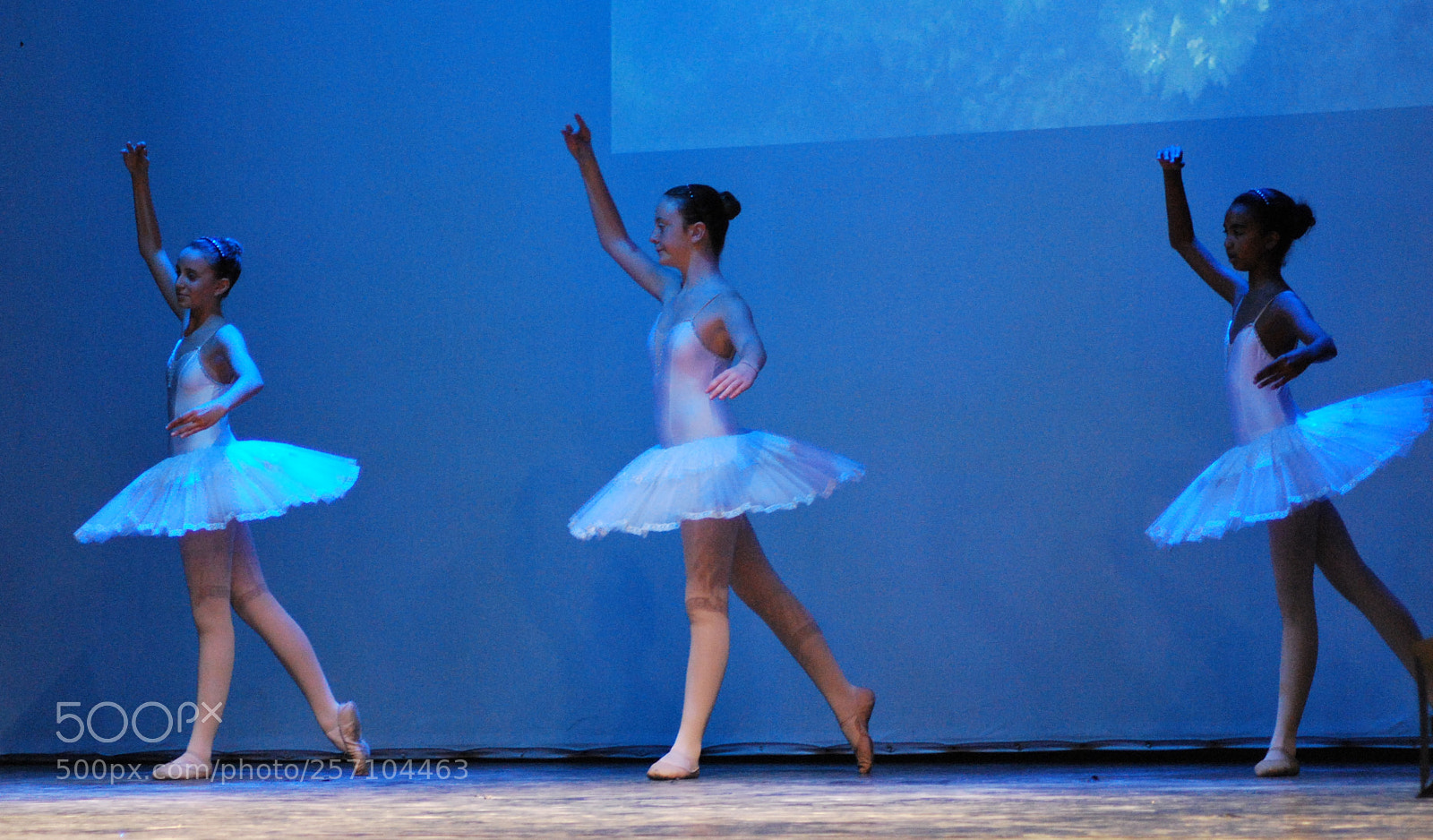Nikon D60 sample photo. Version photography