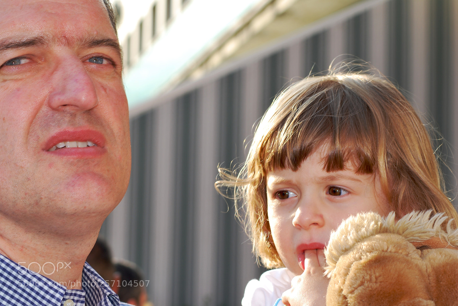 Nikon D60 sample photo. Version photography