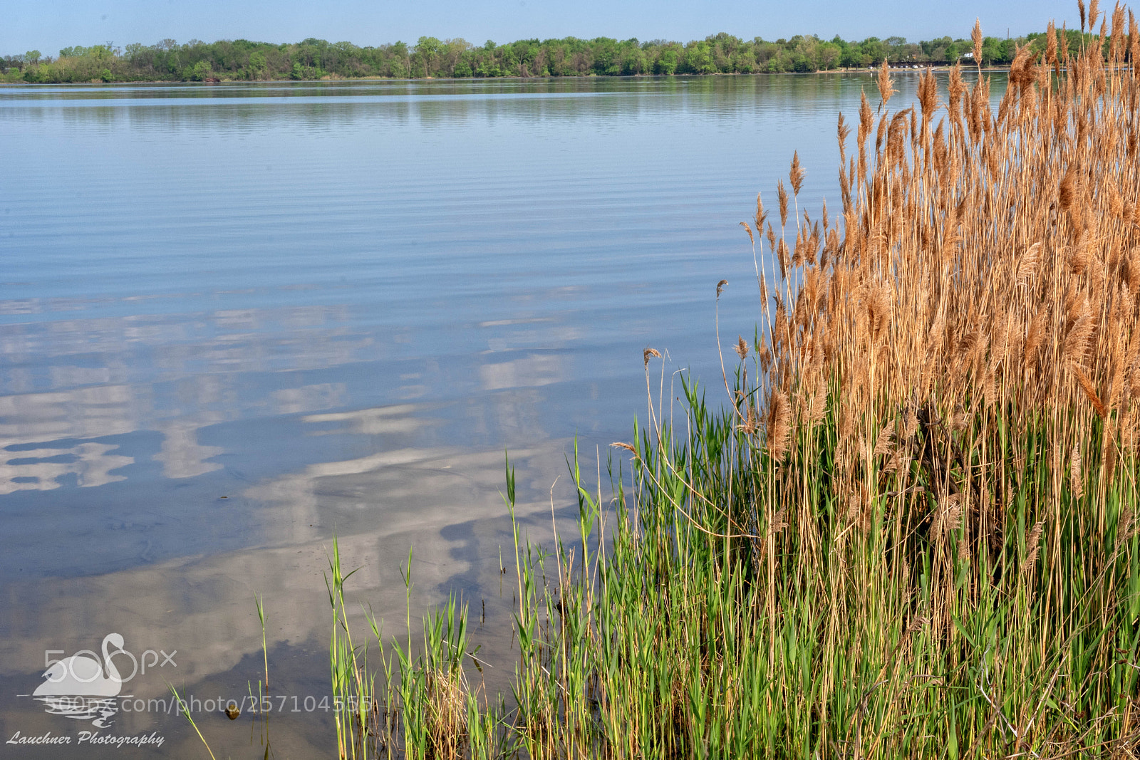 Nikon D5200 sample photo. Horseshoe lake photography