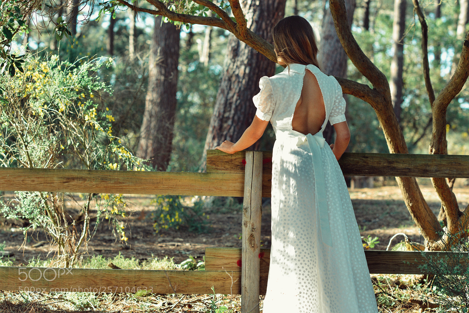 Nikon D800 sample photo. Carla photography