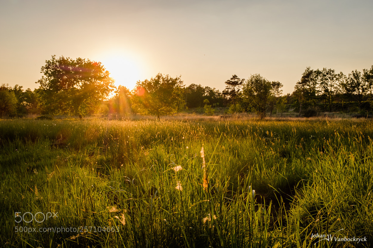 Fujifilm X100F sample photo. The sun's work is photography