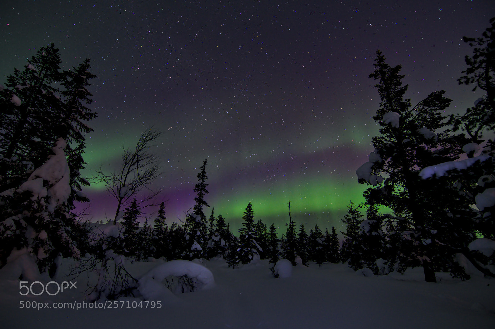 Nikon D500 sample photo. Aurora borealis #2 photography