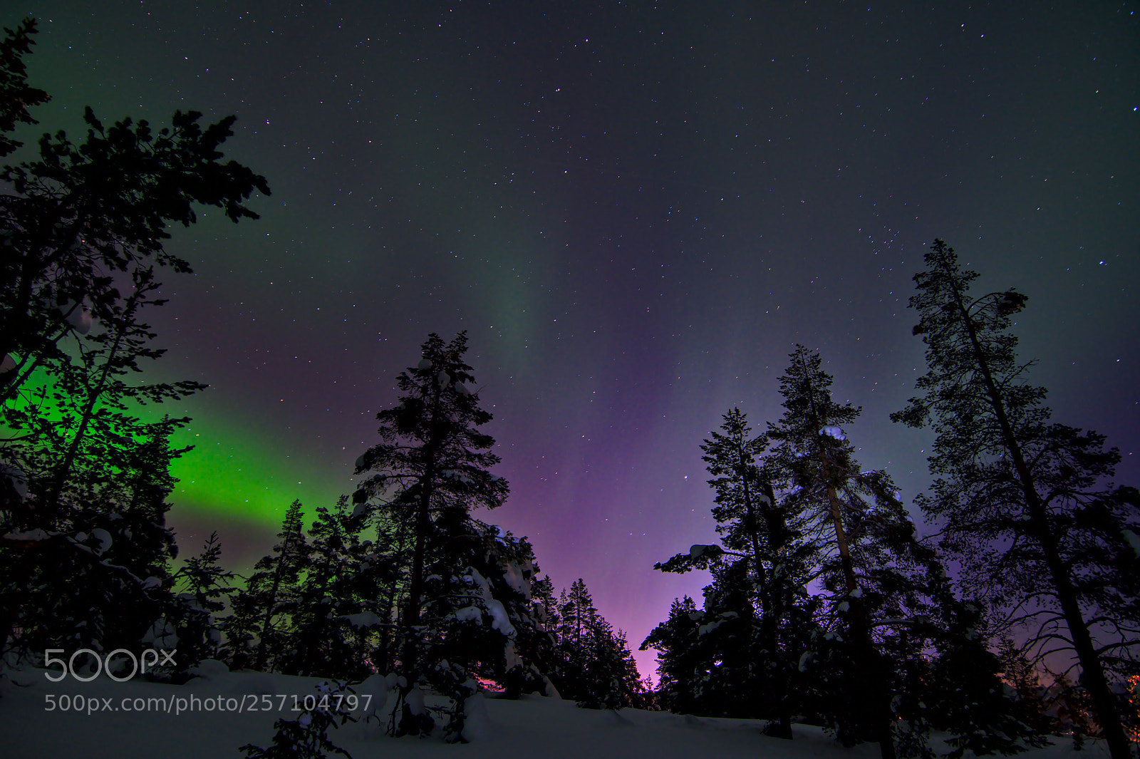 Nikon D500 sample photo. Aurora borealis #1 photography