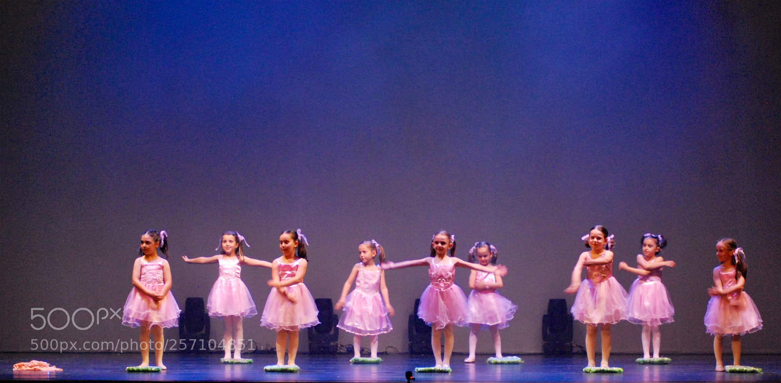 Nikon D60 sample photo. Version photography