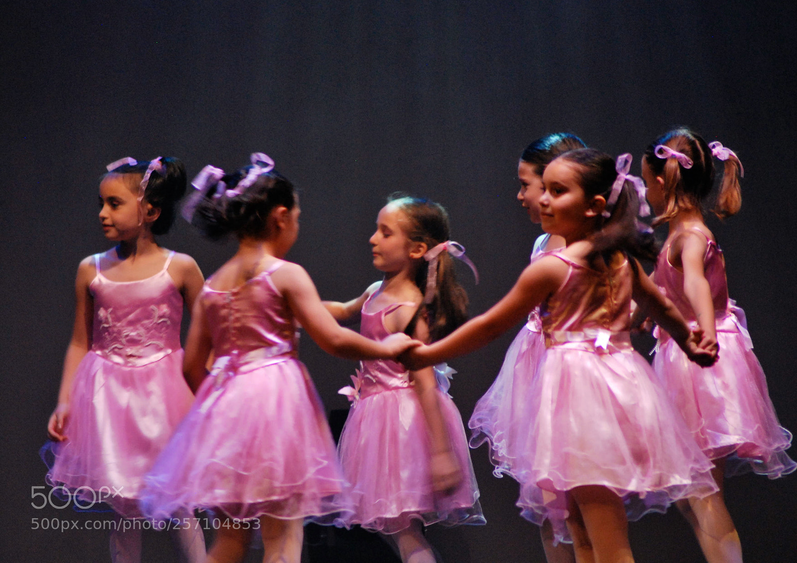 Nikon D60 sample photo. Version photography