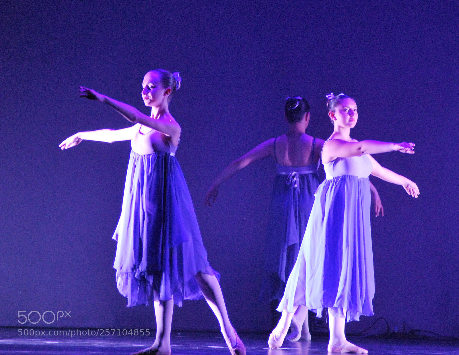 Nikon D60 sample photo. Version photography