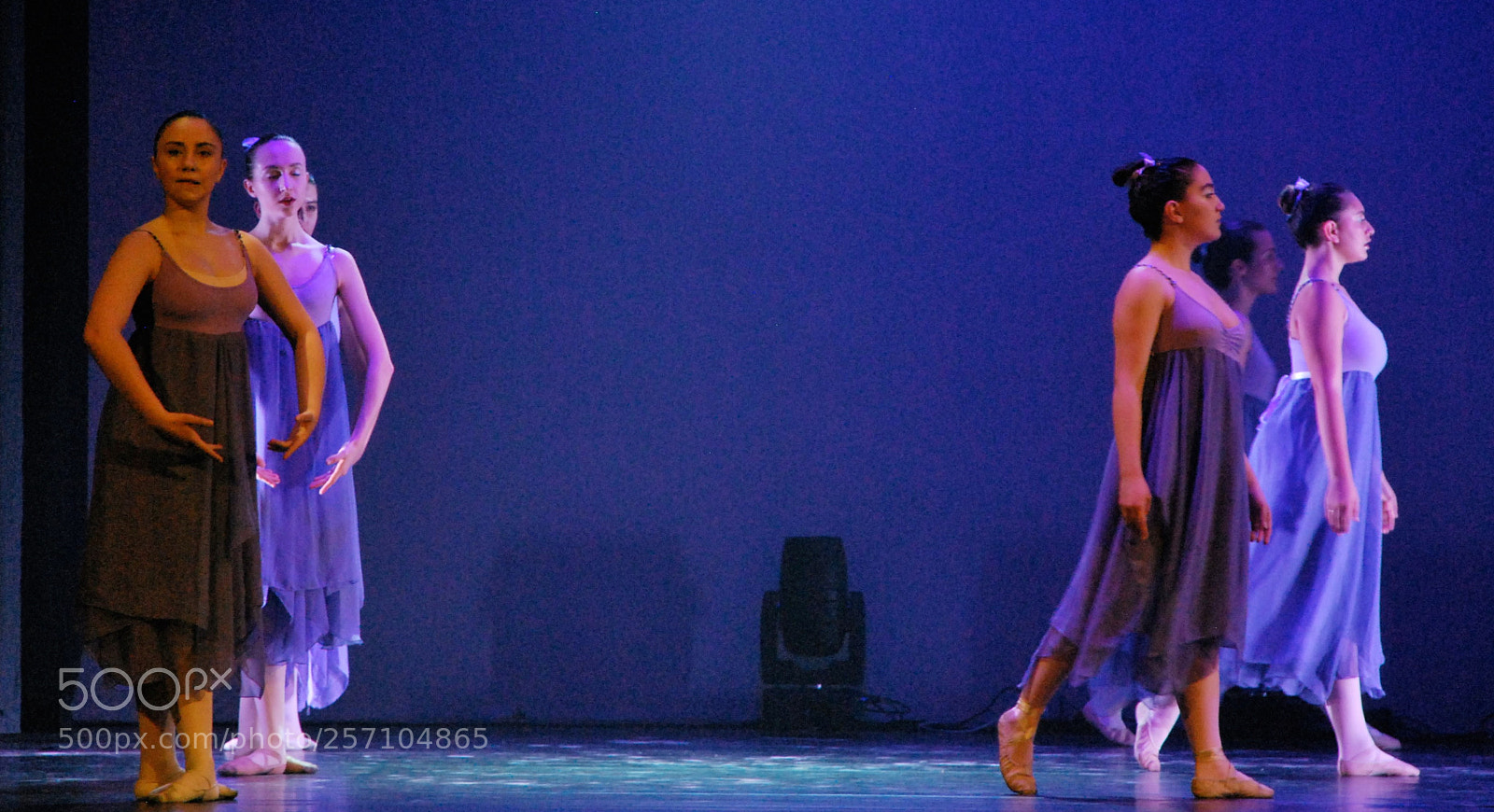 Nikon D60 sample photo. Version photography
