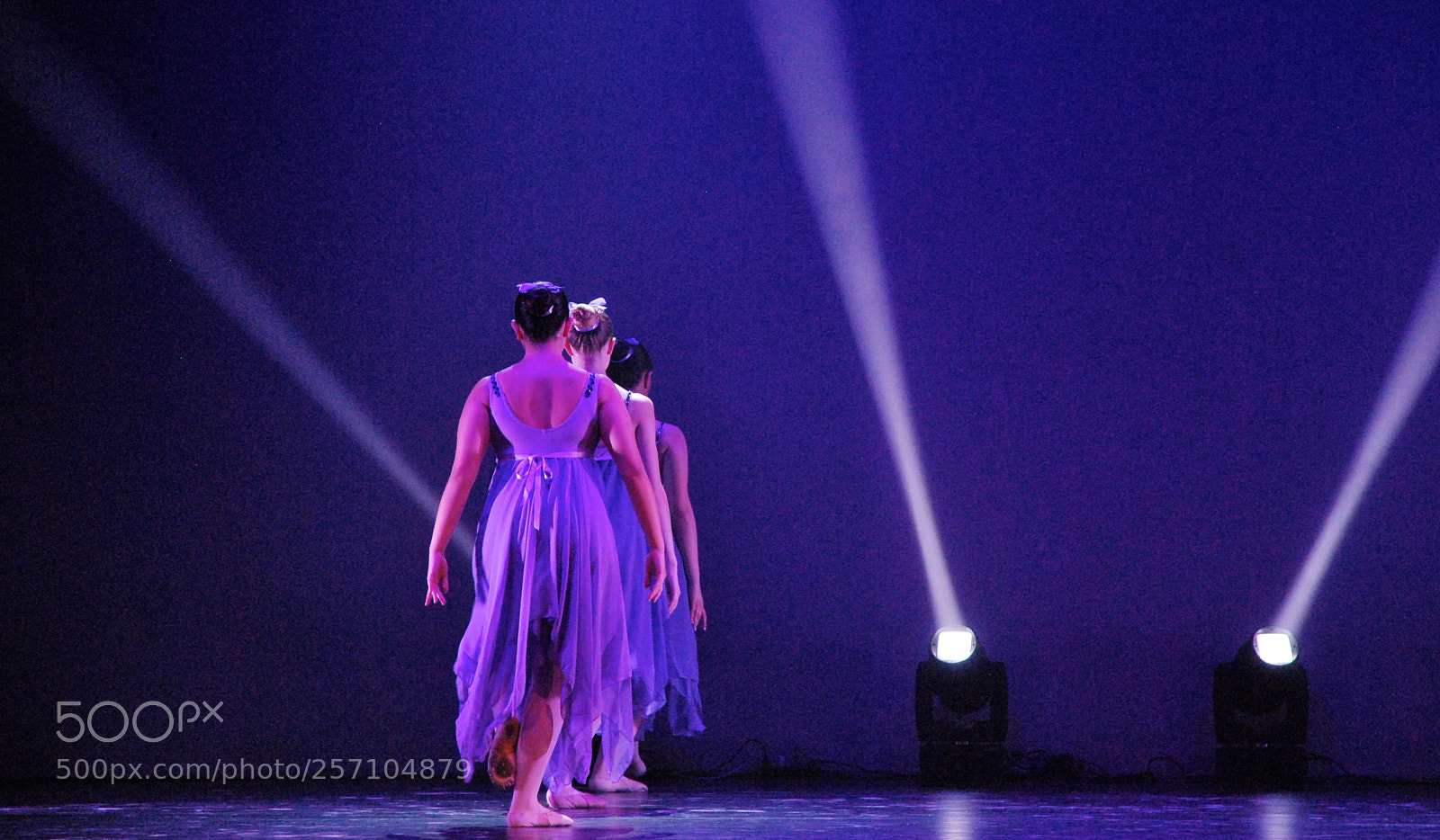 Nikon D60 sample photo. Version photography