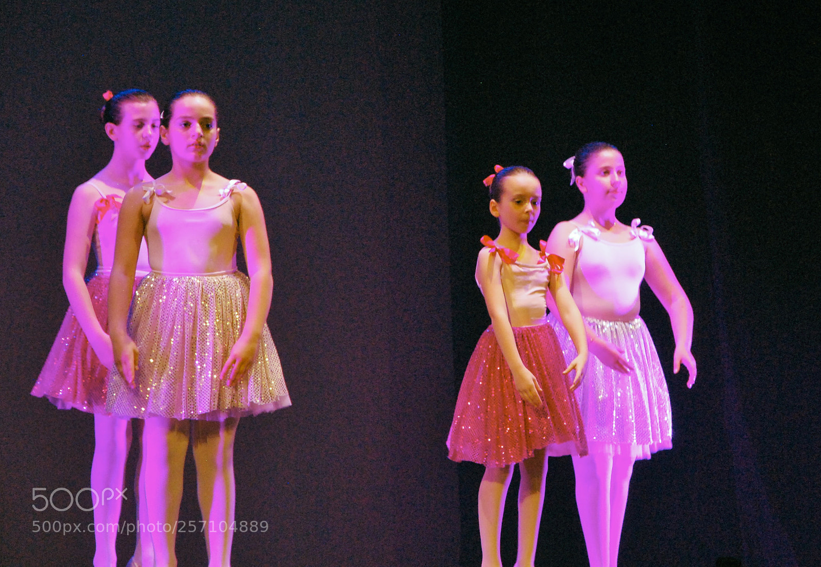 Nikon D60 sample photo. Version photography