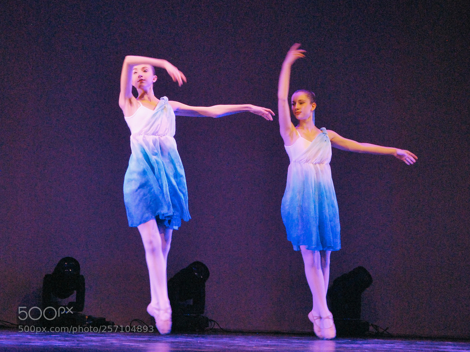 Nikon D60 sample photo. Version photography