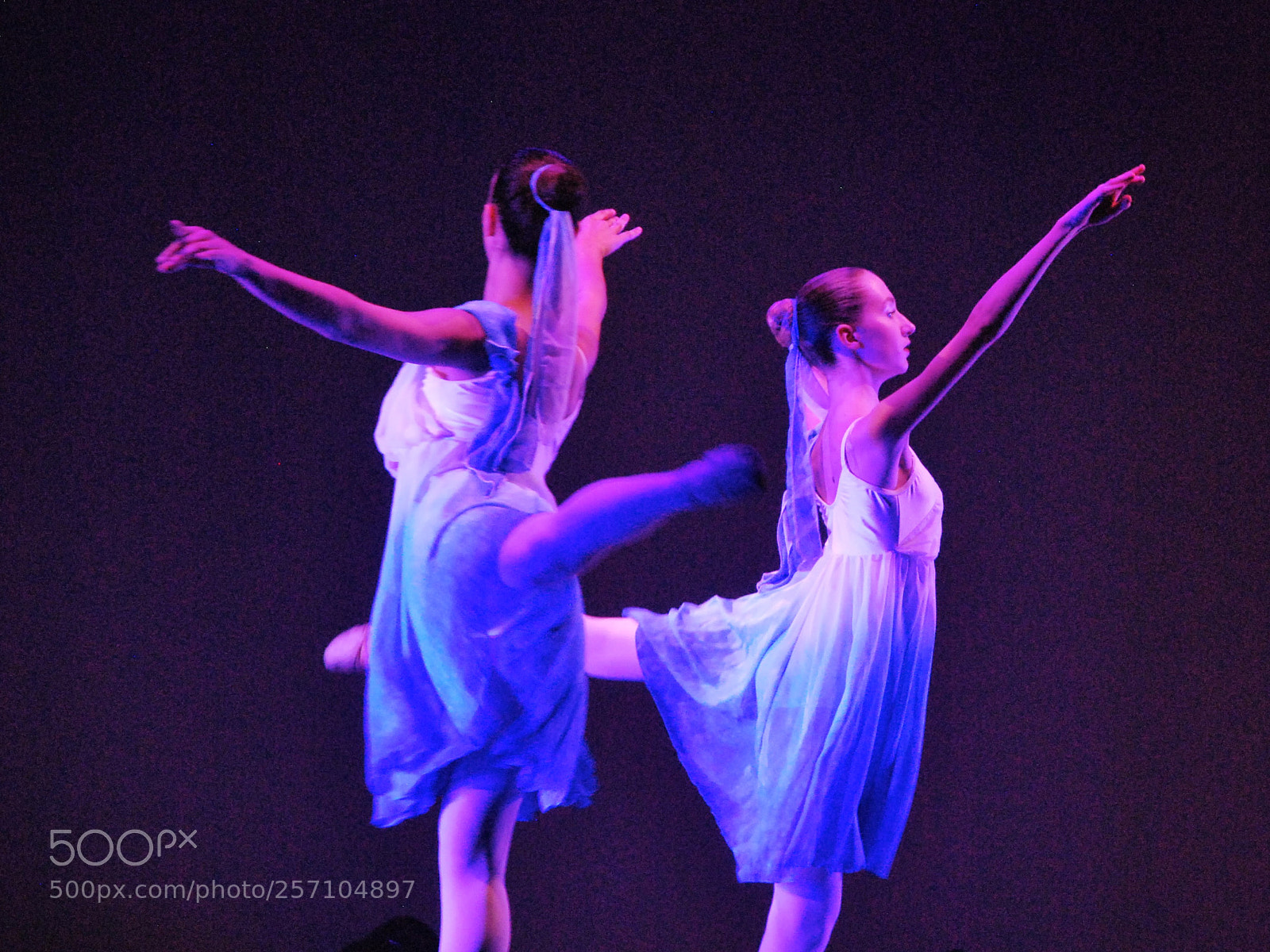 Nikon D60 sample photo. Version photography