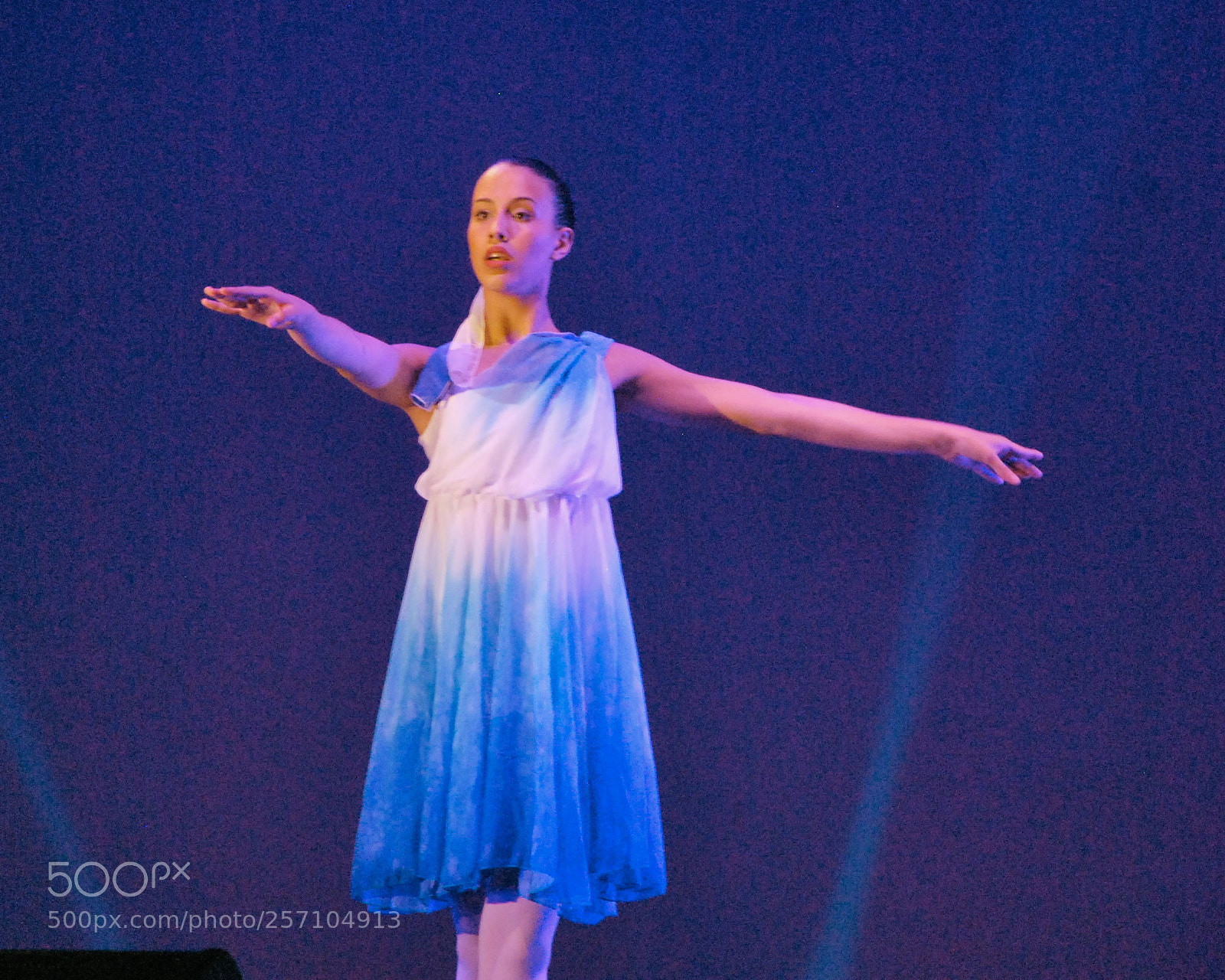 Nikon D60 sample photo. Version photography