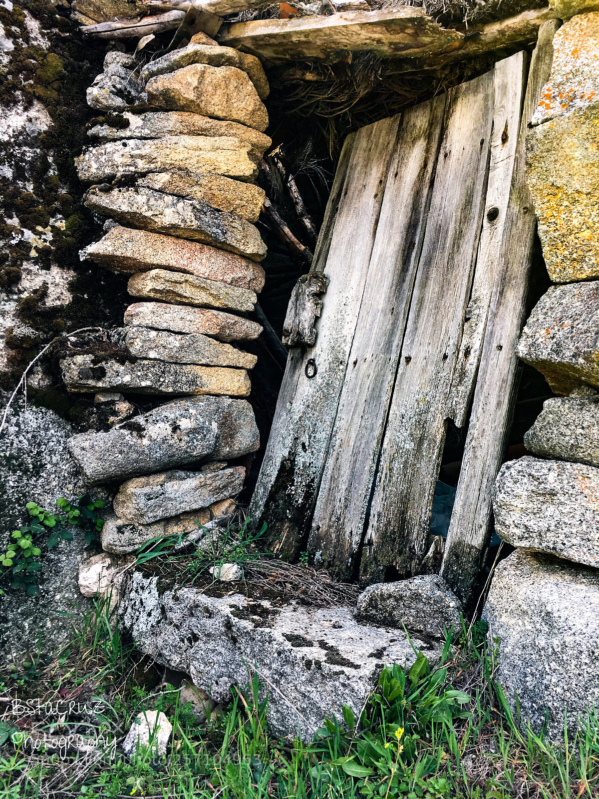 Apple iPhone 6s sample photo. The door photography