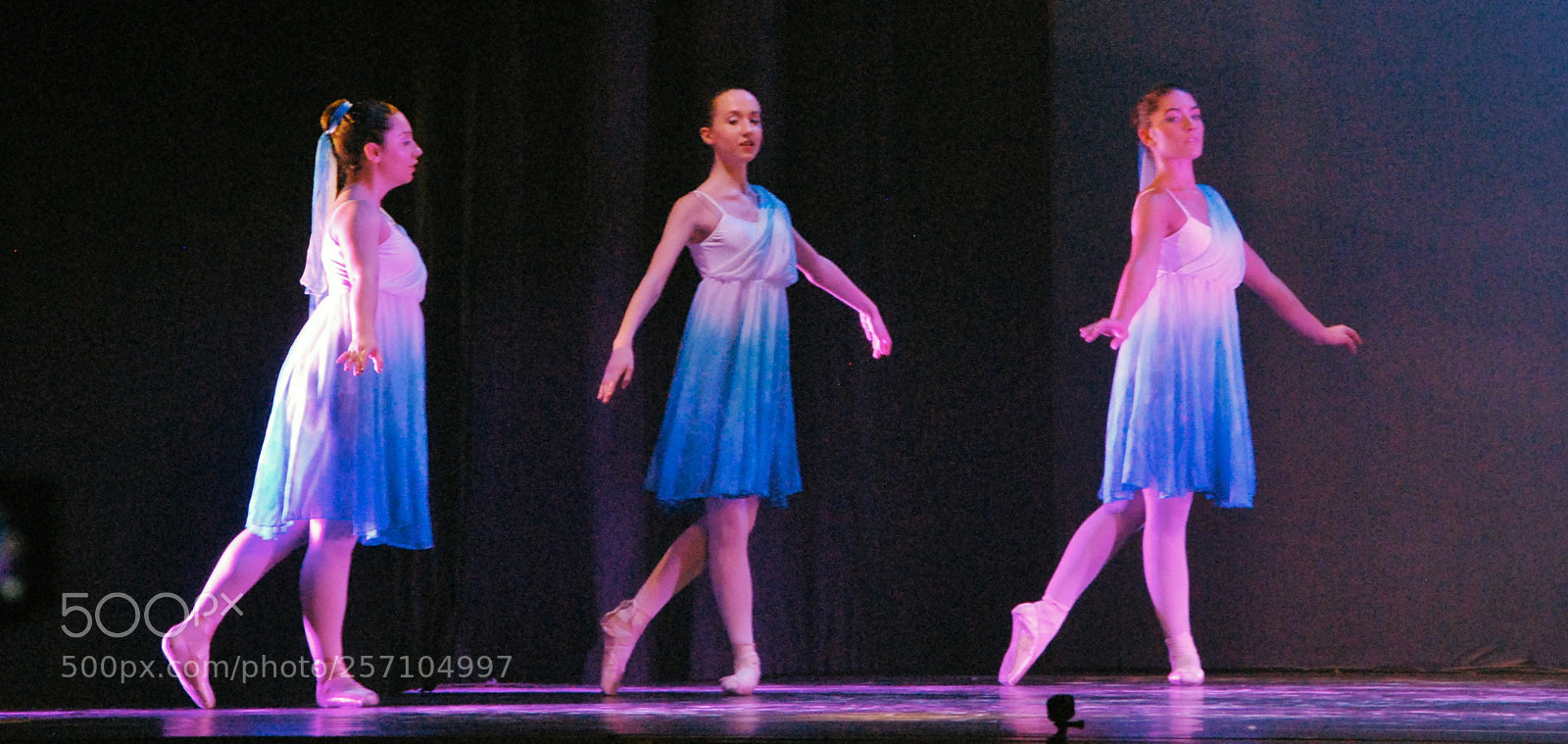 Nikon D60 sample photo. Version photography