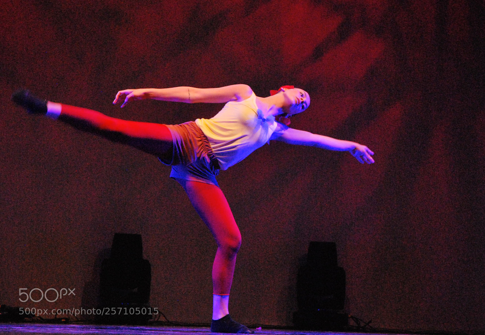 Nikon D60 sample photo. Version photography