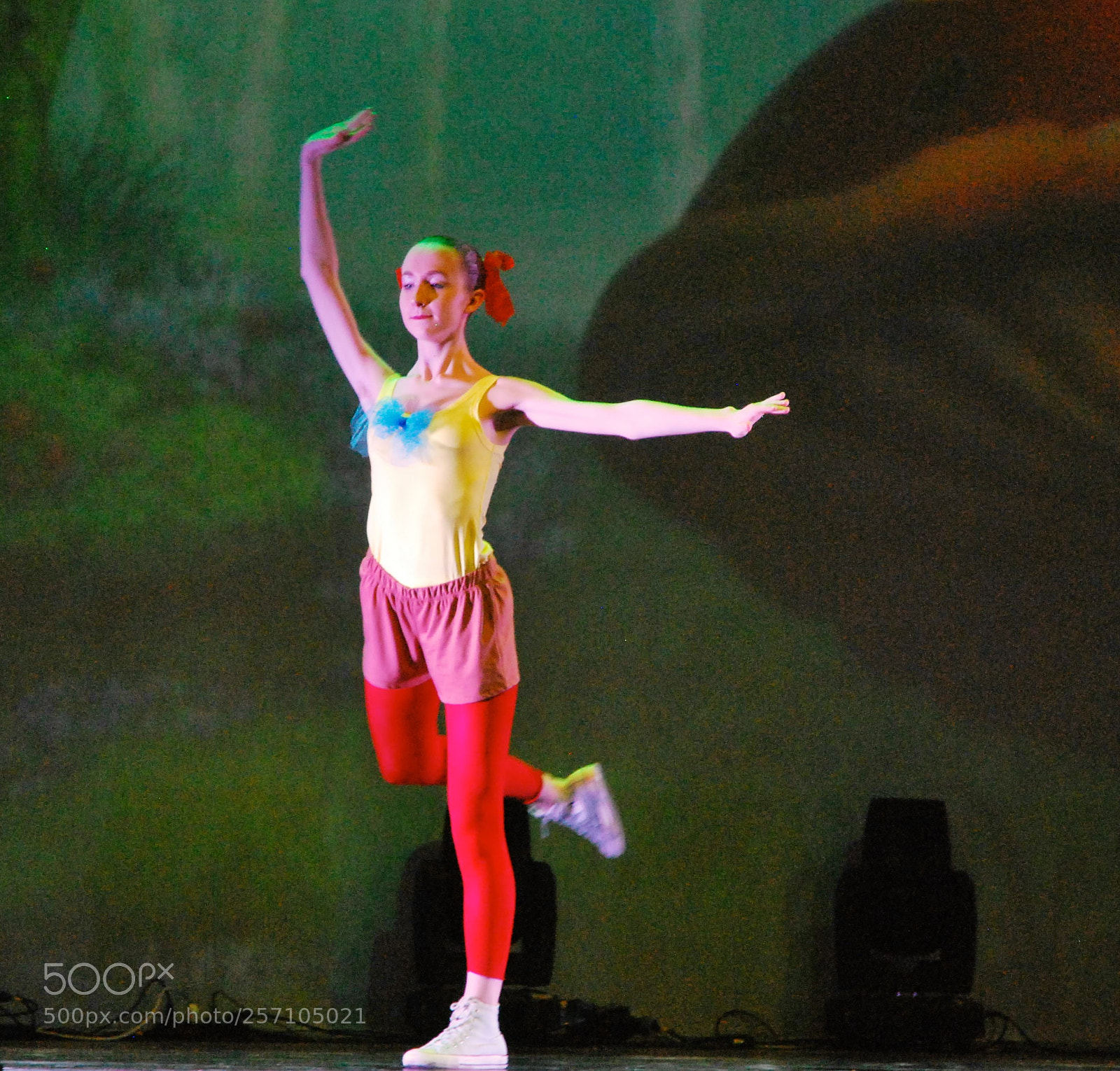 Nikon D60 sample photo. Version photography