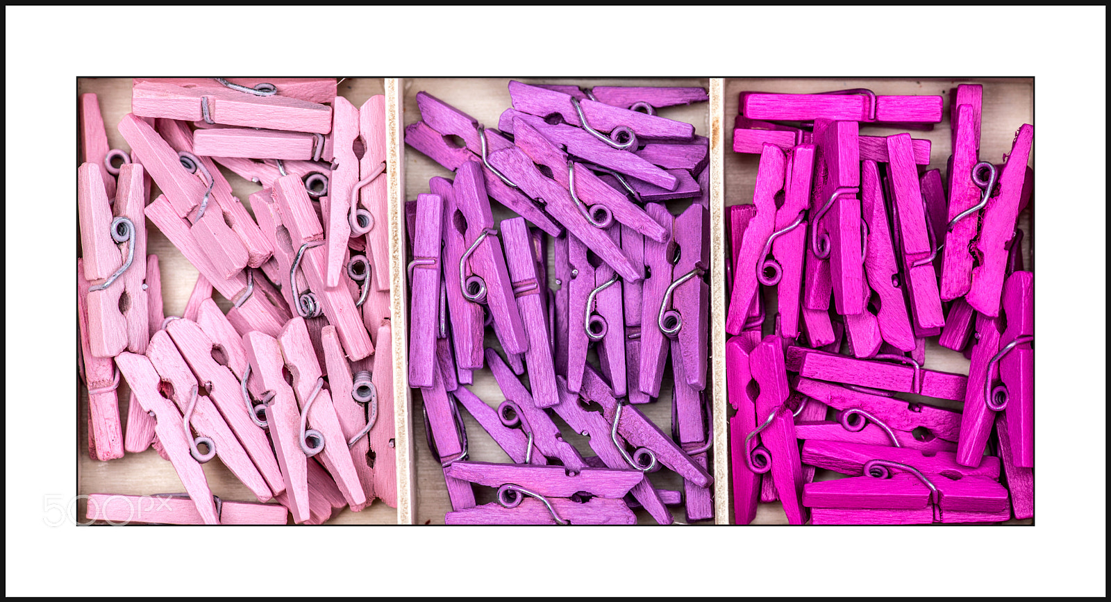 Nikon D750 sample photo. Think pink photography