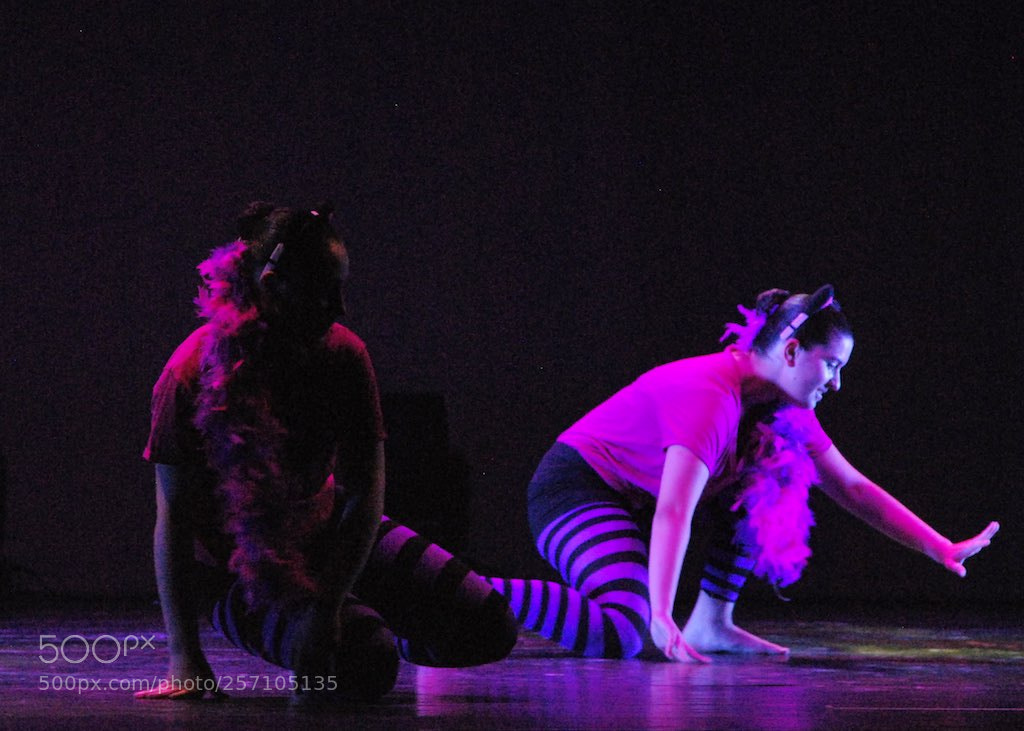 Nikon D60 sample photo. Version photography