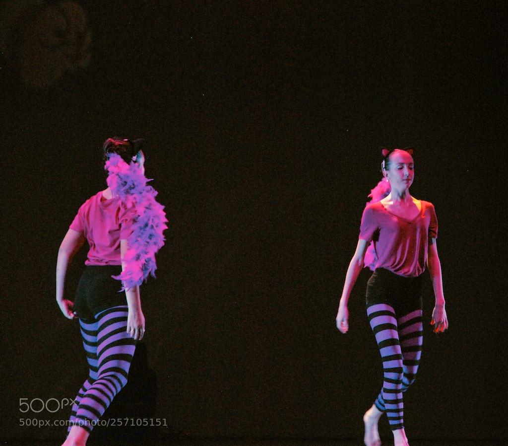 Nikon D60 sample photo. Version photography